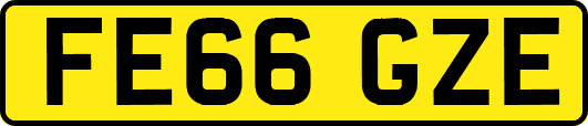 FE66GZE