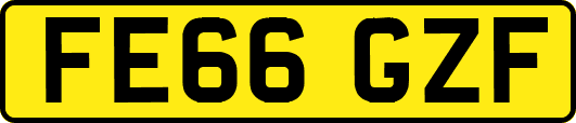 FE66GZF