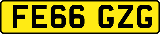 FE66GZG