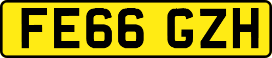 FE66GZH