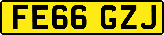 FE66GZJ