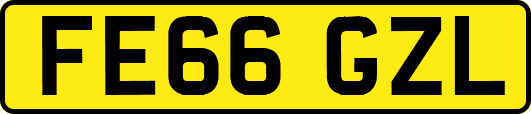 FE66GZL