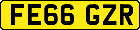 FE66GZR