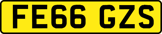 FE66GZS