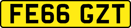FE66GZT