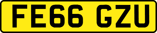 FE66GZU