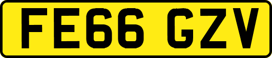 FE66GZV
