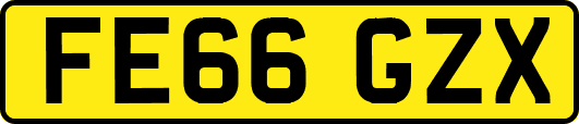 FE66GZX