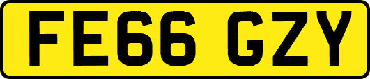 FE66GZY