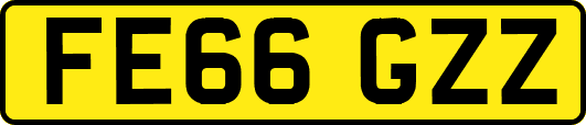 FE66GZZ