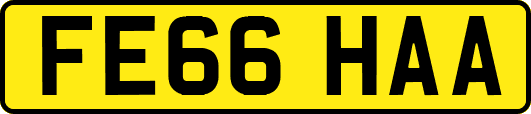 FE66HAA