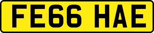 FE66HAE