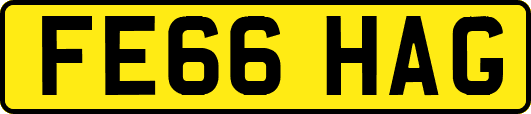 FE66HAG