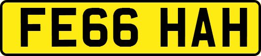 FE66HAH