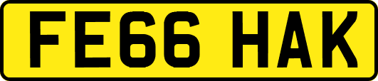 FE66HAK