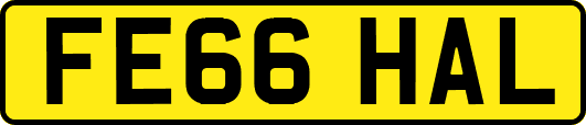 FE66HAL
