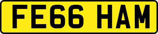 FE66HAM