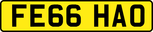 FE66HAO