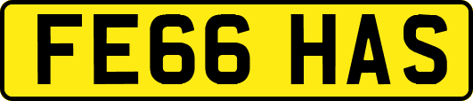 FE66HAS