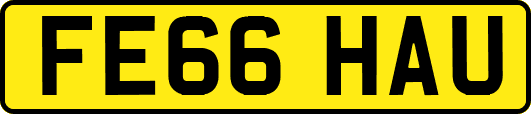FE66HAU