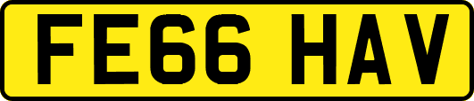 FE66HAV