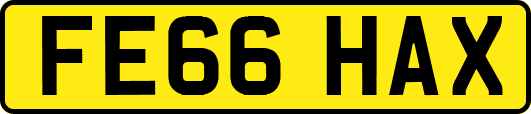 FE66HAX