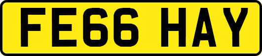 FE66HAY