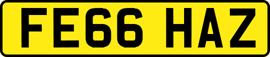 FE66HAZ