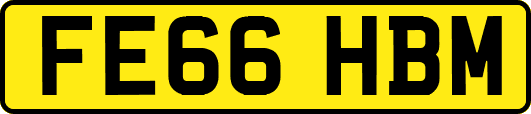 FE66HBM