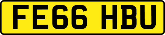 FE66HBU