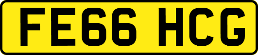FE66HCG