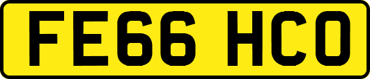 FE66HCO