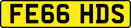 FE66HDS