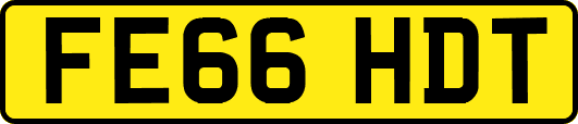 FE66HDT