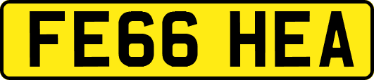 FE66HEA