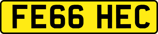 FE66HEC