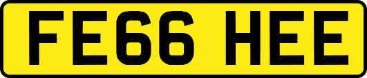 FE66HEE