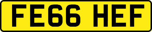 FE66HEF
