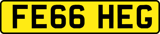 FE66HEG