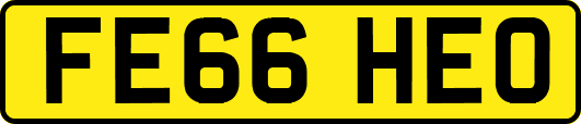 FE66HEO