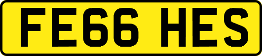 FE66HES