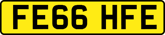FE66HFE
