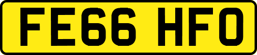 FE66HFO