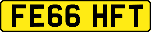 FE66HFT