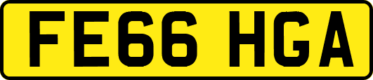 FE66HGA