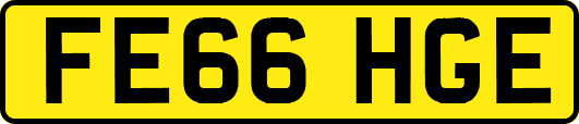 FE66HGE