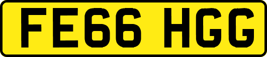 FE66HGG