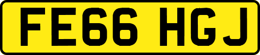 FE66HGJ
