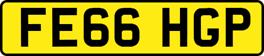 FE66HGP