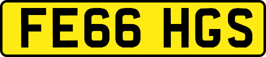 FE66HGS